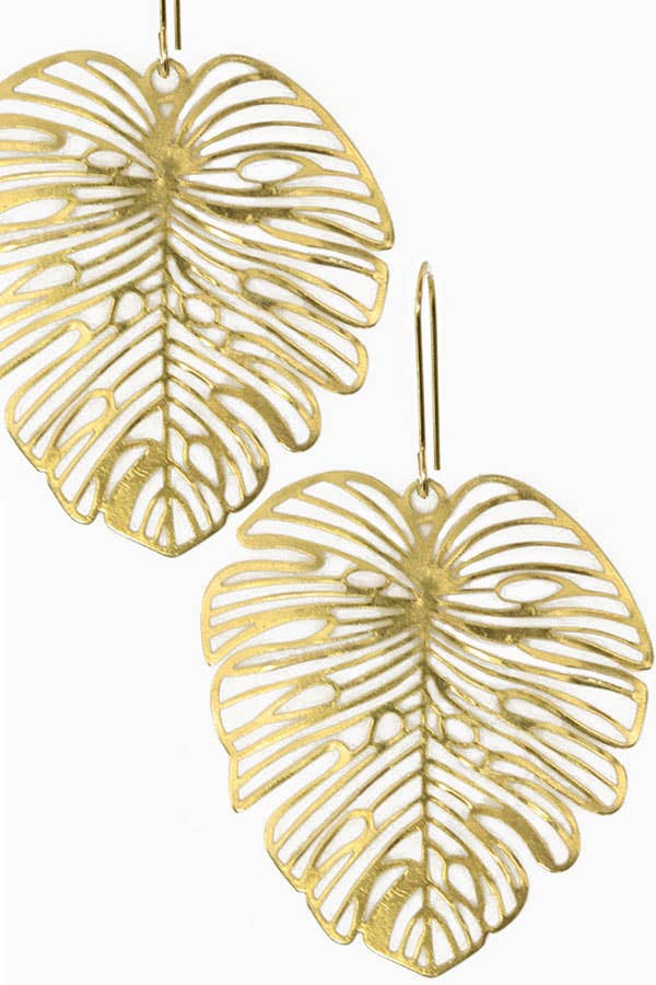 Lacy Monstera