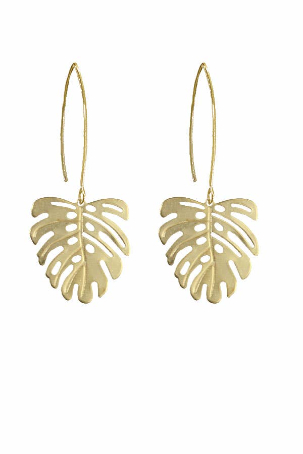 Little Monstera