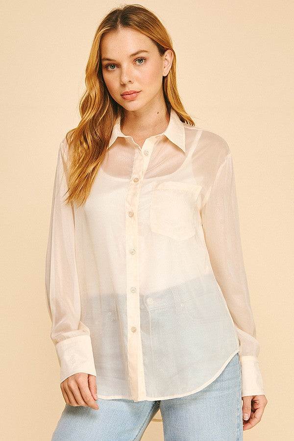 Sheer Dress Shirt